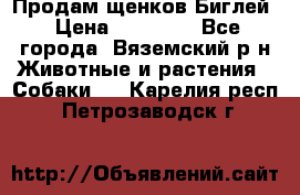 Продам щенков Биглей › Цена ­ 15 000 - Все города, Вяземский р-н Животные и растения » Собаки   . Карелия респ.,Петрозаводск г.